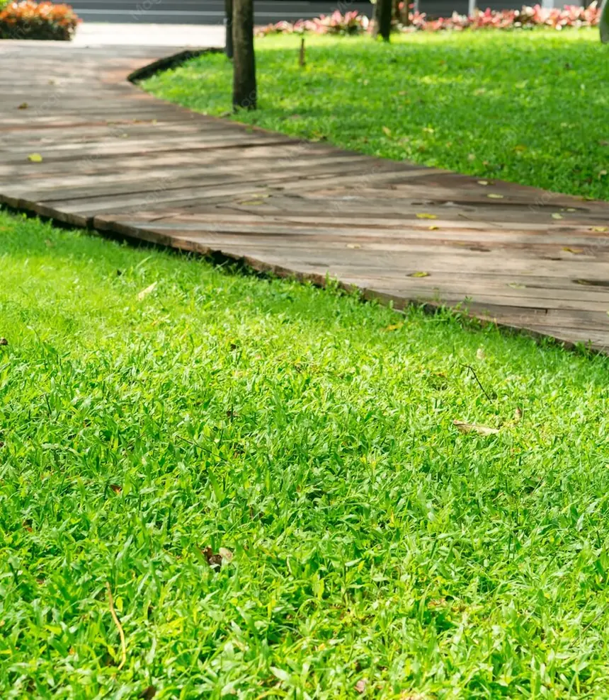 Frisch gemähter Rasen mit Weg in einem Garten